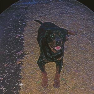 Meet your Posher, Angel